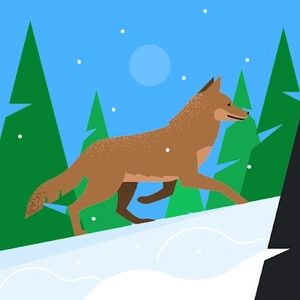 Meet your Posher, Brianne